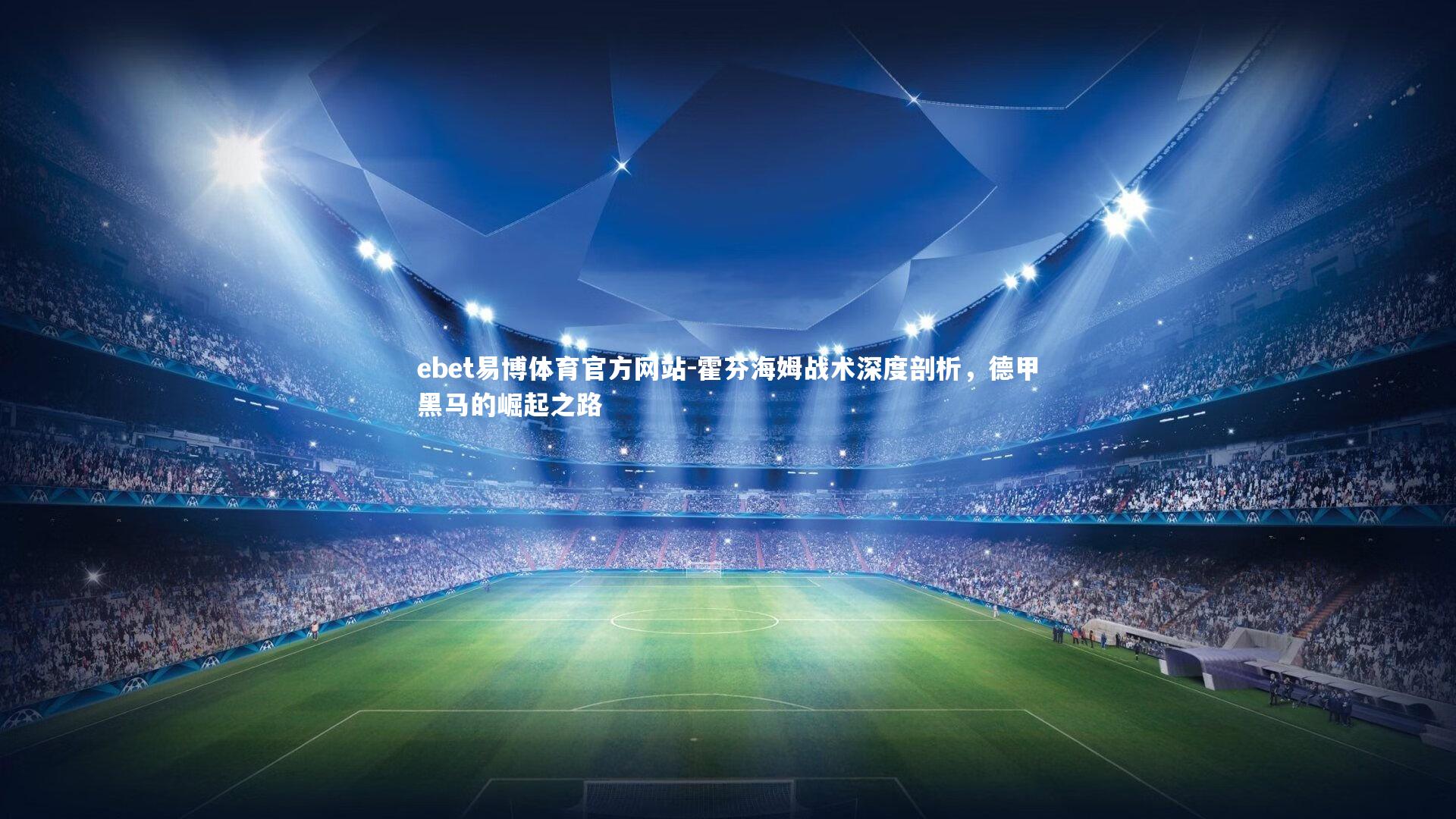 ebet易博体育官方网站-霍芬海姆战术深度剖析，德甲黑马的崛起之路-第2张图片-ebet易博体育官方网站